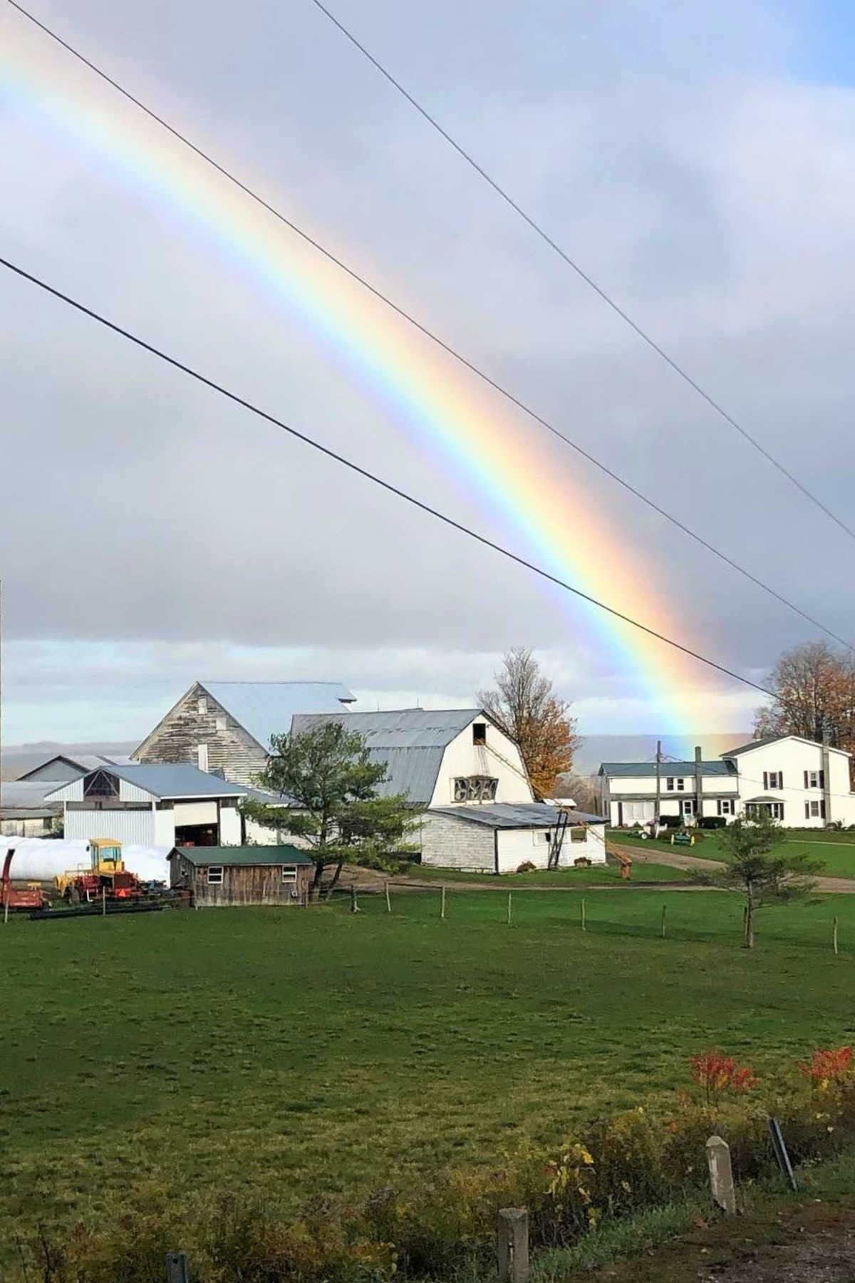 Rainbow